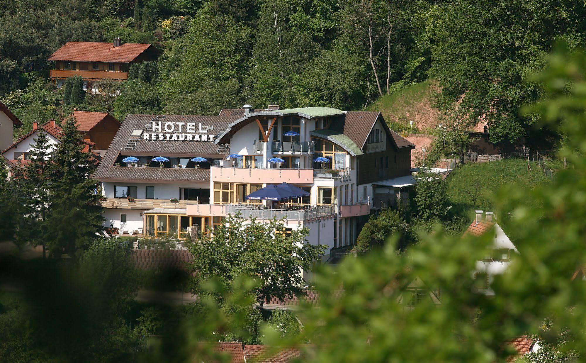 Hotel Am Hirschhorn - Wellness - Spa - And More Wilgartswiesen Exterior photo